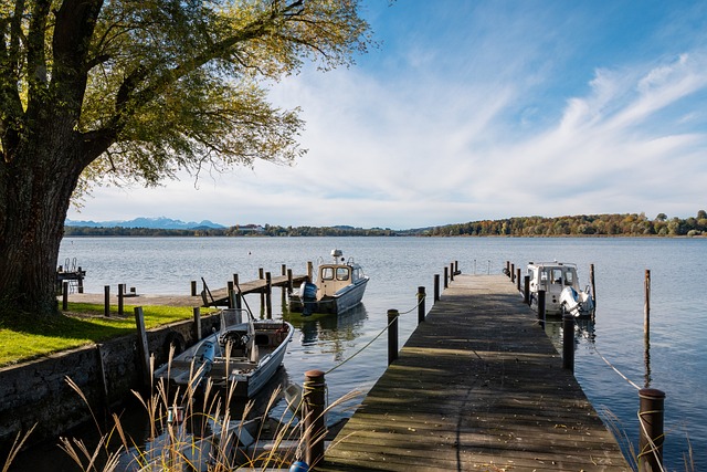 场的互动不 场的互动不