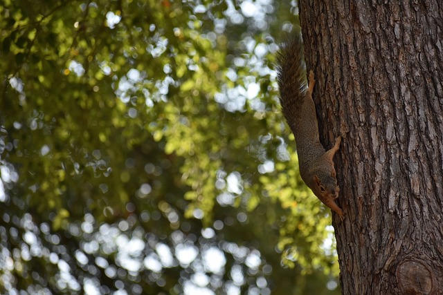 这场对决 这场对决