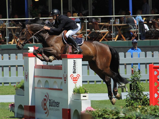 二娃精神 二娃精神