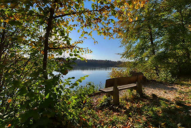 巴黎希望通 巴黎希望通