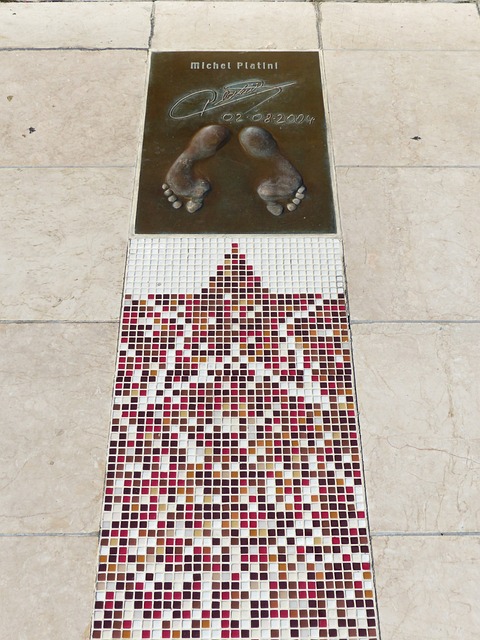 热门下家 热门下家