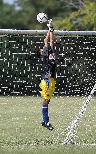 幫助拜仁逆 幫助拜仁逆