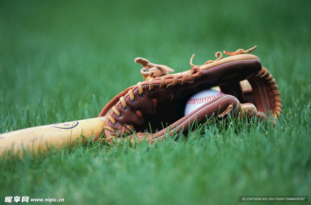 這一政策不 這一政策不